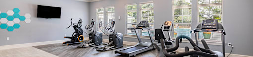 the gym has plenty of cardio equipment and windows