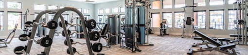 A gym with a variety of equipment including a weight rack, a leg press machine, and a bench press.