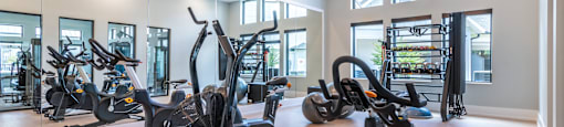 A gym with a row of stationary bikes.