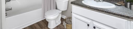 a bathroom with a shower toilet and sink and a mirror