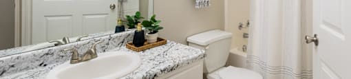 a bathroom with a sink and a toilet and a shower