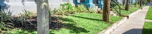 a sidewalk lined with trees in front of a building