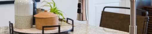 A kitchen sink with a chrome faucet and a plant on the counter at 27Seventy Lower Heights apartments in Houston, TX.