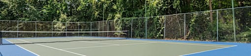 a tennis court with a fence and trees in the background