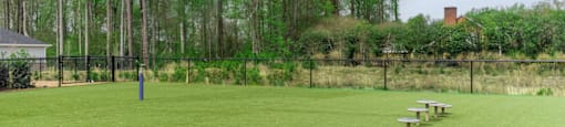 a picnic table on a grassy field with trees in the background