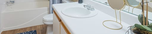 a bathroom with a sink and a bath tub and a mirror