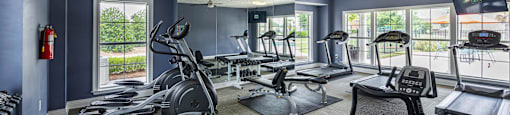 our gym is equipped with a variety of exercise equipment and windows