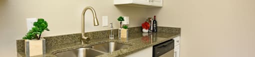 a kitchen with a sink and a dishwasher