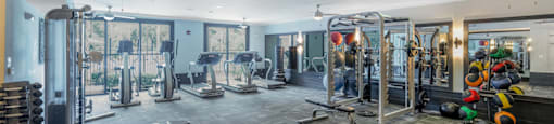 a gym with weights and cardio equipment at the preserve at greatstone