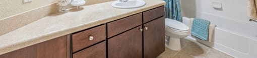 the preserve at ballantyne commons apartment bathroom with sink toilet and shower