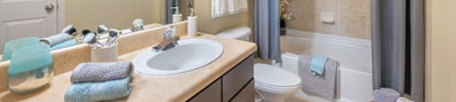 a bathroom with a sink and a toilet and a shower