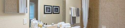the preserve at ballantyne commons apartment bathroom with sink toilet and shower