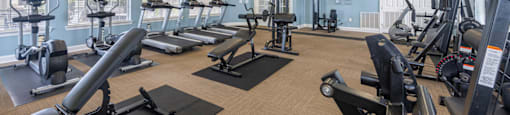 the gym has plenty of cardio equipment and treadmills
