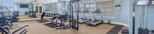 a gym with weights and cardio machines and a ceiling fan
