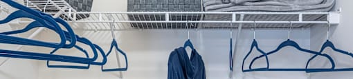 Closet within bedroom