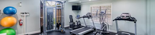 the gym at 1861 muleshoe road