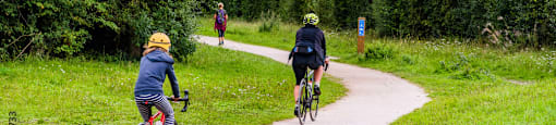 Two people riding bikes on a path in a green forest.