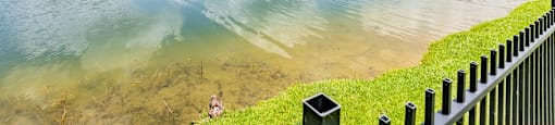 lake