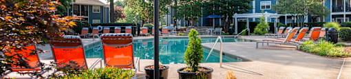 our apartments showcase a swimming pool