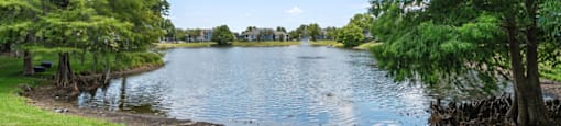 A serene lake surrounded by lush green trees under a clear blue sky.