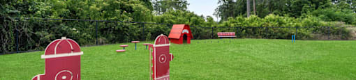A field with red targets and a blue line.