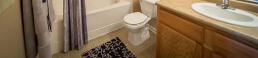 a bathroom with a sink toilet and a bath tub
