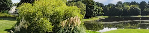 Views of Roswell Lake at Brookefield Apartments in Raleigh, NC