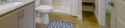a bathroom with a shower and a toilet and a sink