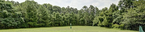 A green fence surrounds a grassy field with trees in the background.