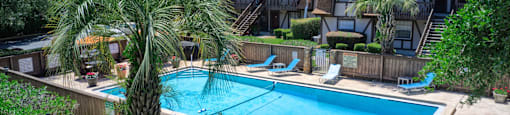 a swimming pool in a backyard with palm trees