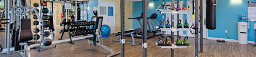 a gym with weights and other gym equipment on a wood floor