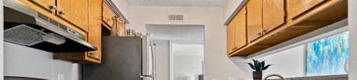 spacious kitchen and cabinet space at Ashley River