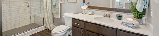 a bathroom with a large mirror and a shower and a sink
