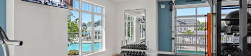 a gym with weights and a tv on the wall and a view of a pool