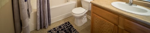 A bathroom with a toilet, sink, and shower.