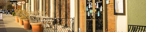 A row of potted plants line the sidewalk in front of a building.