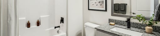 a bathroom with a shower toilet and sink and a mirror