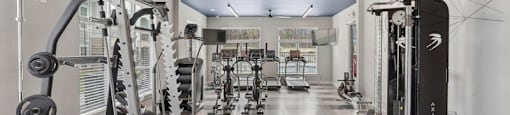the gym is equipped with weights and cardio equipment