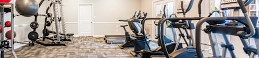A gym with treadmills, weights, and exercise balls.