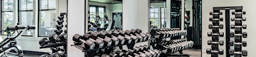 A gym with a row of dumbbells on the left and a mirror on the right. at Evolve Waterford Apartments in Belville, NC