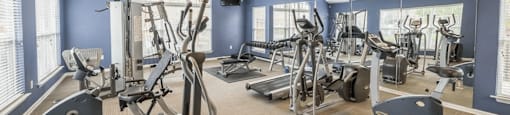 the gym in the owners suite is equipped with cardio equipment and weights