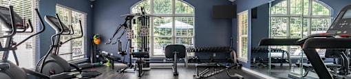 A spacious gym with a variety of equipment including treadmills, elliptical machines, and weight machines.