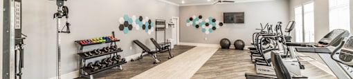A spacious gym with a variety of equipment including treadmills, weights, and a bench press.
