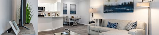 A living room with a white couch and a blue rug.