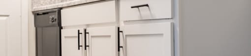 Kitchen cabinets dishwasher