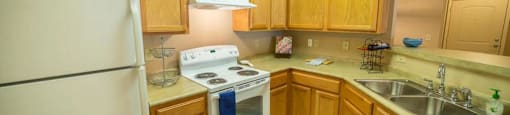 a kitchen with a stove refrigerator and a sink