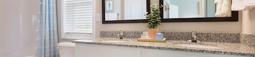 Legacy at Fire Tower Luxury Bathroom