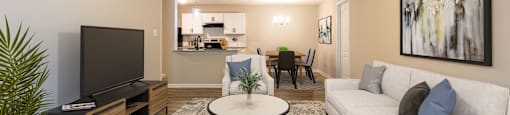 A living room with a television, couch, and a plant.