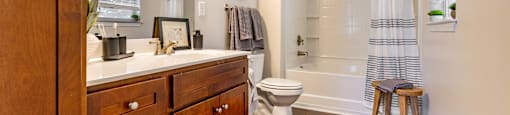 a bathroom with a shower toilet and sink and a mirror
