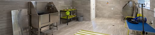 Pet Wash at Mission Club Apartments in Orlando, FL